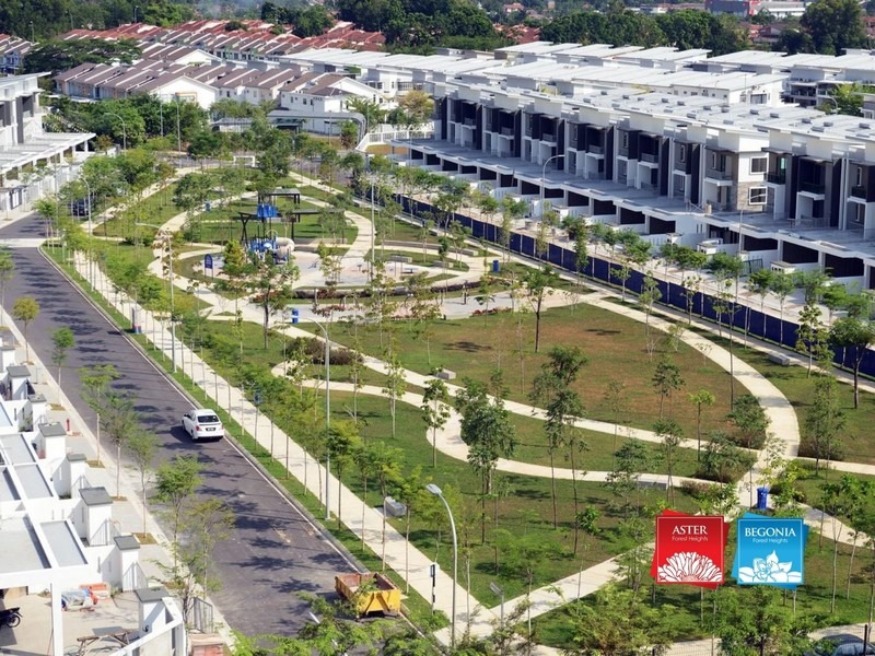 forest plantation development sdn bhd